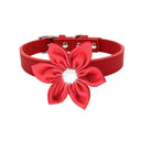 Affordable Leather Pet Collar for Small Dogs and Cats Affordable Leather Pet Collar for Small Dogs and Cats