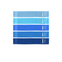 5-Piece Set of Elastic Resistance Bands for Strength Training 5-Piece Set of Elastic Resistance Bands for Strength Training