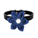 Affordable Leather Pet Collar for Small Dogs and Cats Affordable Leather Pet Collar for Small Dogs and Cats