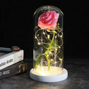 Enchanted Galaxy Rose Glass Dome Eternal Love Gift Set Deluxe Enchanted Galaxy Rose Glass Dome Eternal Love Gift Set Deluxe