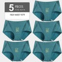All-Day Comfort Shapewear Panties 5Pcs All-Day Comfort Shapewear Panties 5Pcs