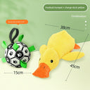 Large Dog Self-Hi Corgi Consumes Small Yellow Duck Toy Large Dog Self-Hi Corgi Consumes Small Yellow Duck Toy