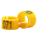 Bird Training Rings: Colorful Tools for Parrot Use Bird Training Rings: Colorful Tools for Parrot Use