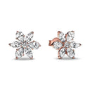 Elegant Butterfly Hoop Earrings For Women Gift Accessory Elegant Butterfly Hoop Earrings For Women Gift Accessory