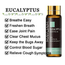 Ultimate Relaxation Aromatherapy Blend Calming Lavender Eucalyptus Oil Ultimate Relaxation Aromatherapy Blend Calming Lavender Eucalyptus Oil