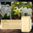 Perfume Machine Automatic Spray Aerosol Dispenser Aroma Diffuser Perfume Machine Automatic Spray Aerosol Dispenser Aroma Diffuser