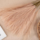 Elegant Boho Fluffy Pampas Grass for Weddings and Home Decor Elegant Boho Fluffy Pampas Grass for Weddings and Home Decor