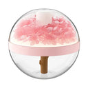 Rechargeable Ultrasonic Humidifier Rechargeable Ultrasonic Humidifier