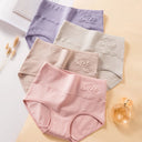 4PCS High Waist Women's Panties Body Shaper Plus Size Briefs 4PCS High Waist Women's Panties Body Shaper Plus Size Briefs