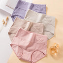 4 Pcs High Waist Womens Panties Body Shaper Plus Size Briefs 4 Pcs High Waist Womens Panties Body Shaper Plus Size Briefs