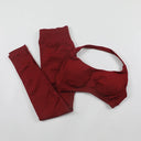 Seamless High-Elastic Yoga Set for Women 2 Piece Sportswear Seamless High-Elastic Yoga Set for Women 2 Piece Sportswear