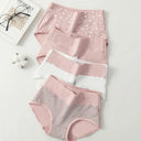 4 Pcs High Waist Womens Panties Body Shaper Plus Size Briefs 4 Pcs High Waist Womens Panties Body Shaper Plus Size Briefs