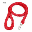 Nylon Dog Harness Leash: Premium Training Lead for Pets Nylon Dog Harness Leash: Premium Training Lead for Pets