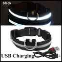 LED Light Up Dog Collar: Customizable Night Safety Waterproof LED Light Up Dog Collar: Customizable Night Safety Waterproof