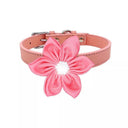 Affordable Leather Pet Collar for Small Dogs and Cats Affordable Leather Pet Collar for Small Dogs and Cats