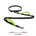 High Quality Hands-Free Dog Leash with Dual Bungee for Large Dogs High Quality Hands-Free Dog Leash with Dual Bungee for Large Dogs