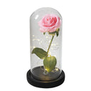 Enchanted Galaxy Rose Glass Dome Eternal Love Gift Set Deluxe Enchanted Galaxy Rose Glass Dome Eternal Love Gift Set Deluxe