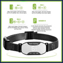 Dog Training Collar: Upgrade Your Dog's Behavior Today Dog Training Collar: Upgrade Your Dog's Behavior Today