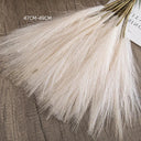 Elegant Boho Fluffy Pampas Grass For Weddings And Home Decor Elegant Boho Fluffy Pampas Grass For Weddings And Home Decor