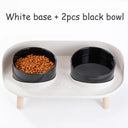 Adjustable Cat Double Bowls Feeder for Healthy Eating Adjustable Cat Double Bowls Feeder for Healthy Eating