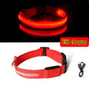 LED Dog Collar Light: High Visibility Night Safety Accessory LED Dog Collar Light: High Visibility Night Safety Accessory