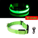 LED Dog Collar Light: High Visibility Night Safety Accessory LED Dog Collar Light: High Visibility Night Safety Accessory