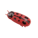 Interactive Ladybird Beetle Cat Toy for Engaging Fun Interactive Ladybird Beetle Cat Toy for Engaging Fun