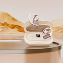 Earbuds Intelligent Translator Device Online 142 Languages Earbuds Intelligent Translator Device Online 142 Languages