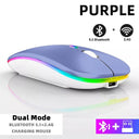 Rechargeable Bluetooth Wireless Mouse Ultimate Gaming Companion Rechargeable Bluetooth Wireless Mouse Ultimate Gaming Companion