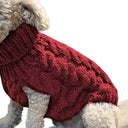 Winter Pet Sweater: Stylish High Collar Solid Color XS to XL Winter Pet Sweater: Stylish High Collar Solid Color XS to XL