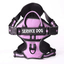 Reflective Nylon Dog Harness Vest Personalized Leash Secure Reflective Nylon Dog Harness Vest Personalized Leash Secure