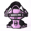 Reflective Nylon Dog Harness Vest With Personalized Leash Reflective Nylon Dog Harness Vest With Personalized Leash