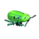 Interactive Ladybird Beetle Cat Toy for Engaging Fun Interactive Ladybird Beetle Cat Toy for Engaging Fun
