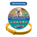 Adjustable Vet Anti Flea Tick Collar For Cats And Dogs Adjustable Vet Anti Flea Tick Collar For Cats And Dogs