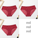 Silk Lace Briefs for Women Luxe Comfort Elegance Intimates Silk Lace Briefs for Women Luxe Comfort Elegance Intimates