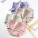 4 Pack High Waist Women Cotton Panties Body Shaper Underwear 4 Pack High Waist Women Cotton Panties Body Shaper Underwear