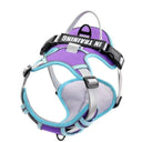 Reflective Nylon Dog Harness Vest With Personalized Leash Reflective Nylon Dog Harness Vest With Personalized Leash