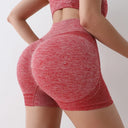 Seamless High Waisted Yoga Shorts Women Butt Lifting Scrunch Seamless High Waisted Yoga Shorts Women Butt Lifting Scrunch