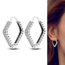 Zircon Heart Shaped Silver Earrings Elegant Gift for Women Zircon Heart Shaped Silver Earrings Elegant Gift for Women