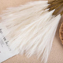 Elegant Boho Fluffy Pampas Grass For Weddings And Home Decor Elegant Boho Fluffy Pampas Grass For Weddings And Home Decor