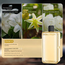 Type-C Charging Wireless Automatic Aerosol Dispenser Aromatherapy Fragrance Type-C Charging Wireless Automatic Aerosol Dispenser Aromatherapy Fragrance