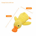 Large Dog Self-Hi Corgi Consumes Small Yellow Duck Toy Large Dog Self-Hi Corgi Consumes Small Yellow Duck Toy