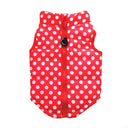 Stylish Waterproof Dog Jacket for Small Breeds Winter Coat Stylish Waterproof Dog Jacket for Small Breeds Winter Coat