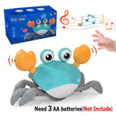 Induction Escape Crab Interactive Learning Toy Fun Educational Induction Escape Crab Interactive Learning Toy Fun Educational