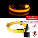LED Dog Collar Light: High Visibility Night Safety Accessory LED Dog Collar Light: High Visibility Night Safety Accessory