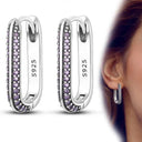 Zircon Heart Shaped Silver Earrings Elegant Gift for Women Zircon Heart Shaped Silver Earrings Elegant Gift for Women