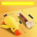 Large Dog Self-Hi Corgi Consumes Small Yellow Duck Toy Large Dog Self-Hi Corgi Consumes Small Yellow Duck Toy