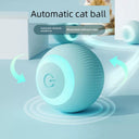 Toy Electric Self-Hi Relieving Stuffy Kitten Toy For Kids Toy Electric Self-Hi Relieving Stuffy Kitten Toy For Kids