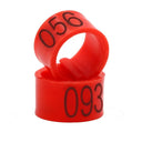 Bird Training Rings: Colorful Tools for Parrot Use Bird Training Rings: Colorful Tools for Parrot Use