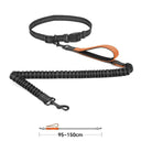 High Quality Hands-Free Dog Leash with Dual Bungee for Large Dogs High Quality Hands-Free Dog Leash with Dual Bungee for Large Dogs